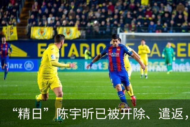 “精日”陈宇昕已被开除、遣返，军方警方团中央发声谴责