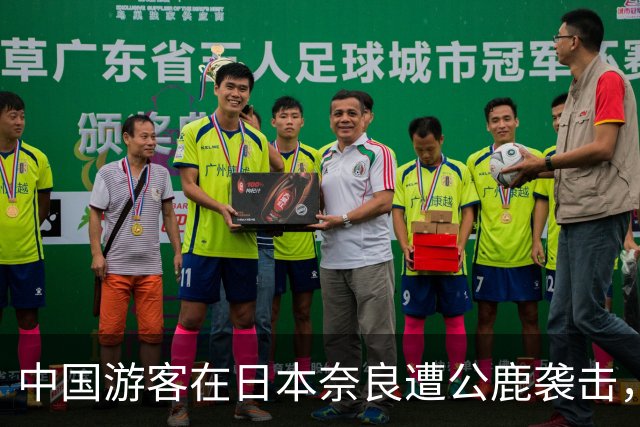 中国游客在日本奈良遭公鹿袭击，背部被顶出深长伤口，在医院遇到同样被鹿撞飞的游客，“因为是野生动物，无法赔偿”；不少人称有类似遭遇