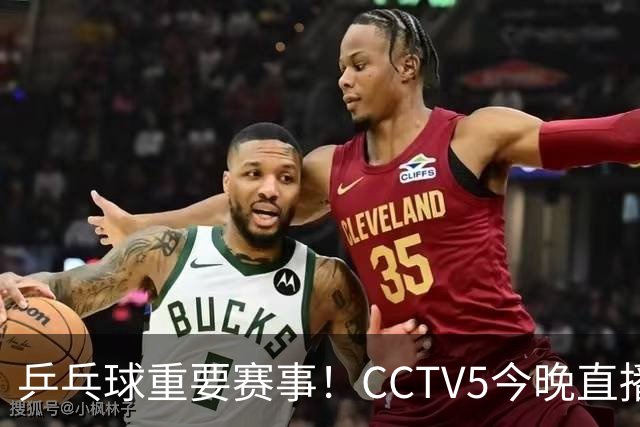 乒乓球重要赛事！CCTV5今晚直播，王曼昱决战佐藤瞳