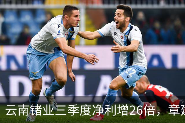 云南锗业三季度净利增26倍，章建平无惧回调逆市增仓近300%