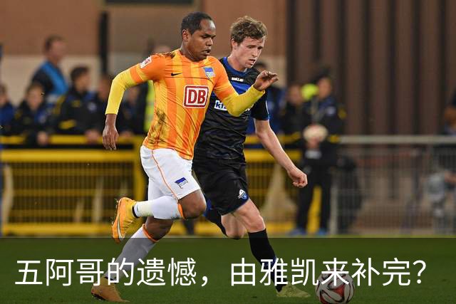 五阿哥的遗憾，由雅凯来补完？