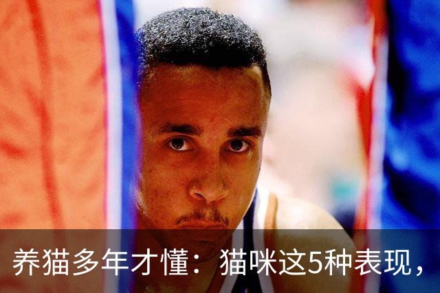 养猫多年才懂：猫咪这5种表现，不是撒娇，是旺家的征兆