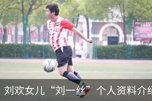 刘欢女儿“刘一丝”个人资料介绍！他的女婿陈诗洋是哪里人？