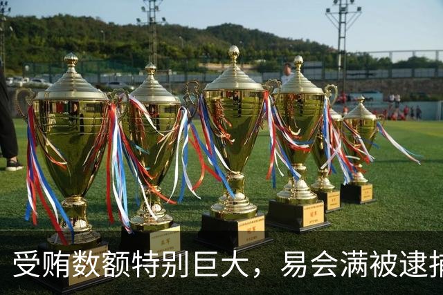 受贿数额特别巨大，易会满被逮捕、提起公诉