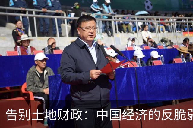 告别土地财政：中国经济的反脆弱之路