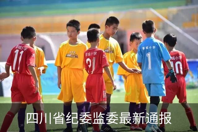 四川省纪委监委最新通报