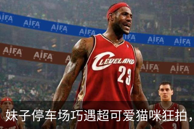 妹子停车场巧遇超可爱猫咪狂拍，车主见状抱出二号猫，嘚瑟炫耀：我有2只！