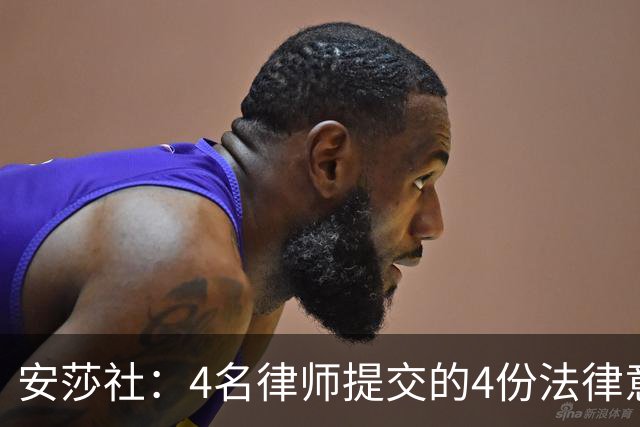 安莎社：4名律师提交的4份法律意见认为马拉戈当选无效