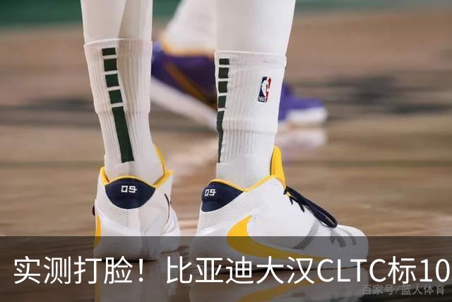 实测打脸！比亚迪大汉CLTC标1008km，高速实测连600km都没跑到