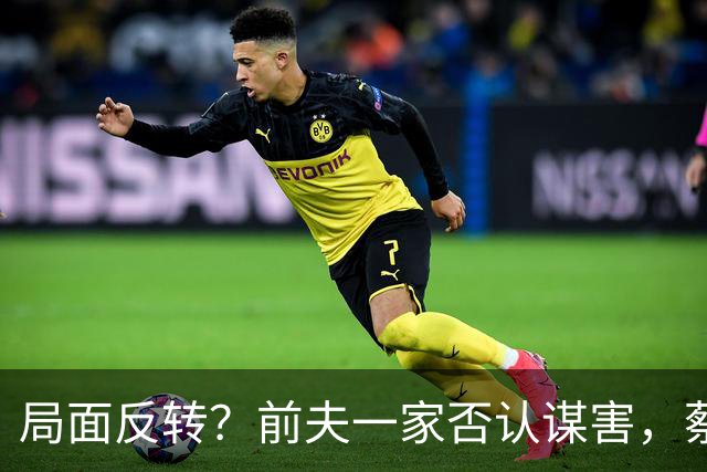 局面反转？前夫一家否认谋害，蔡天凤现任被曝猛料，网友：我的天