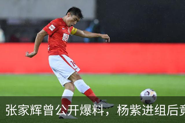 张家辉曾公开爆料，杨紫进组后竟多次跟他“放话”：“张大哥，你知道吗？我可是内地最红的一线女明星！