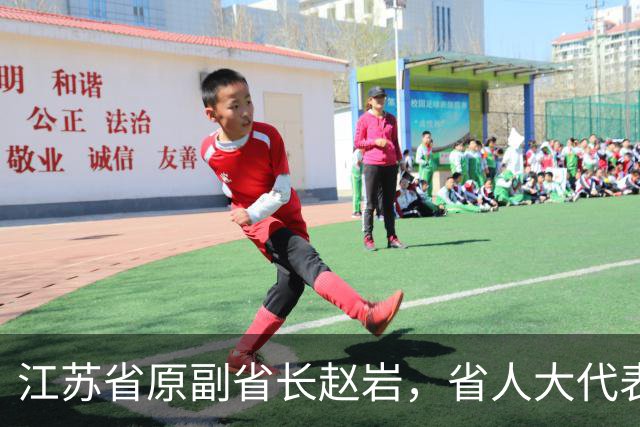 江苏省原副省长赵岩，省人大代表资格终止