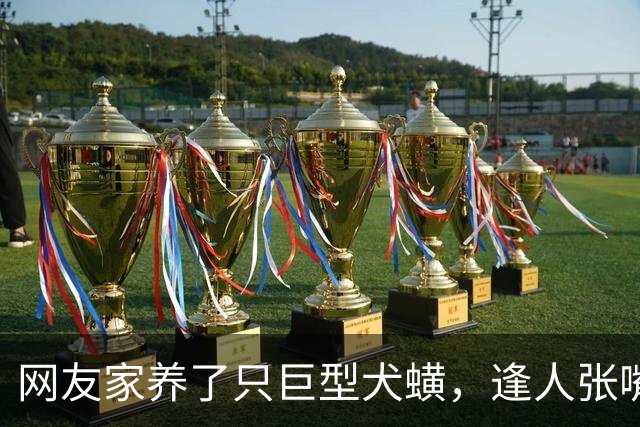 网友家养了只巨型犬蟥，逢人张嘴就开吸，主人无奈带去检查，发现竟是多年前的心太软…狗子：时间一长，地久天长，你的拔犬罐来了…