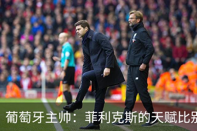葡萄牙主帅：菲利克斯的天赋比别人高出一截；国歌响时我心潮澎湃