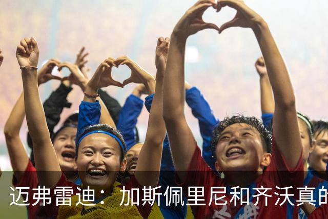 迈弗雷迪：加斯佩里尼和齐沃真的让我感到兴奋。我更看好前者