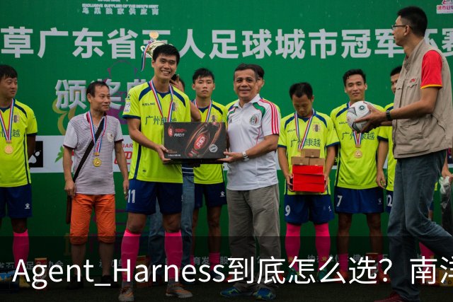 Agent Harness到底怎么选？南洋理工大学安波团队最新研究给出答案